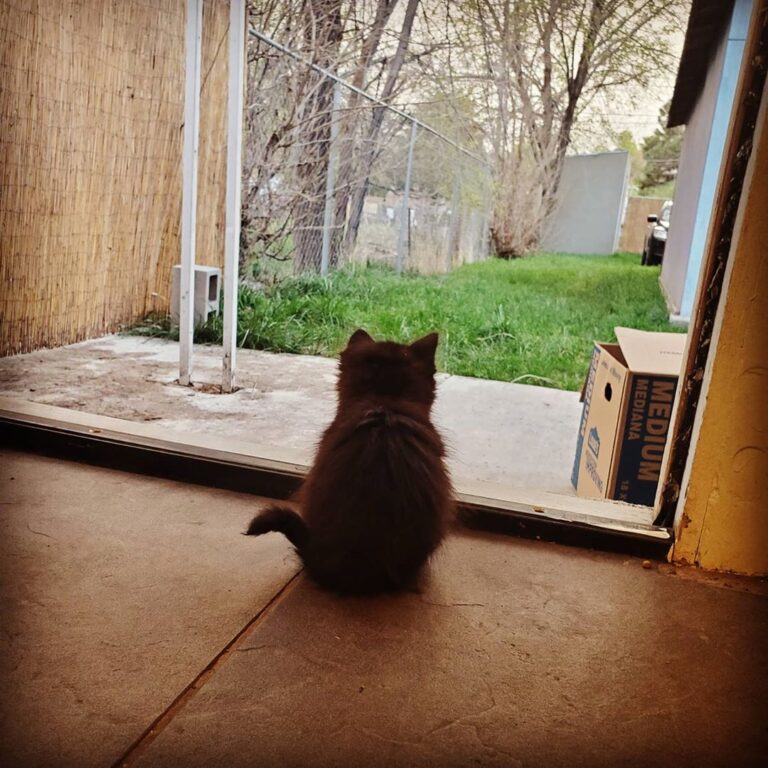 Small body, big dreams