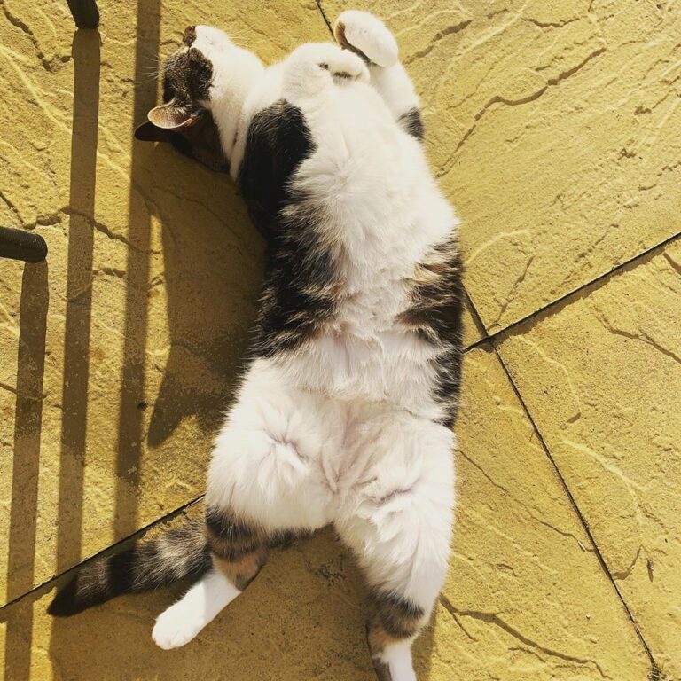 Sookie