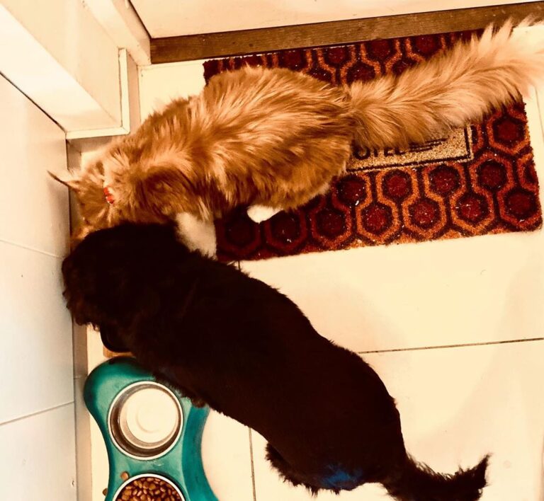 That’s a true friendship!