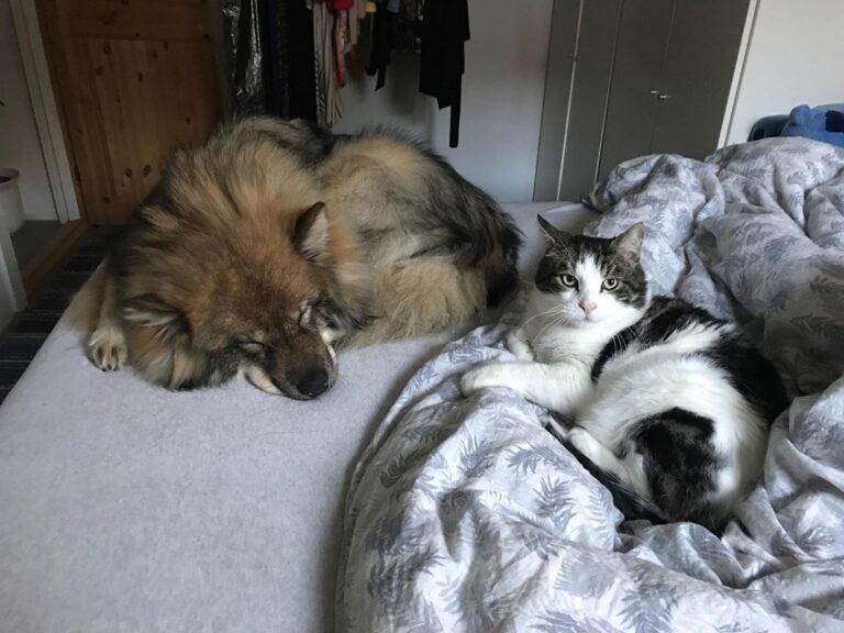 The perfect way to wake up in the morning