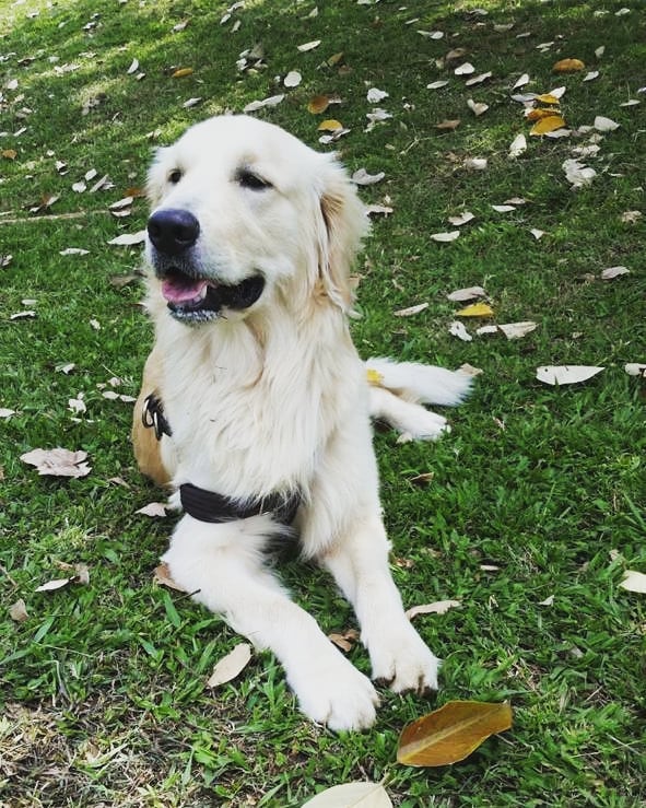 Todo un modelo . . . . . . . . .