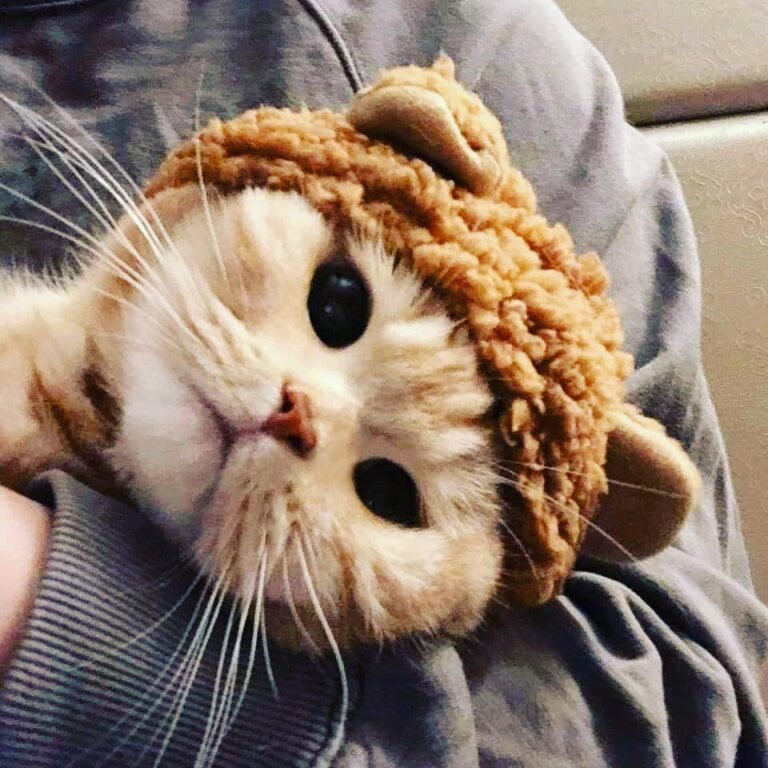 Very Cuteee . . . . . . . .