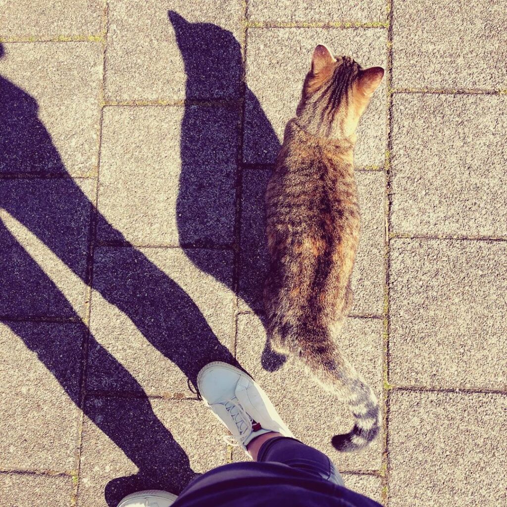 Wandelen met Abby
