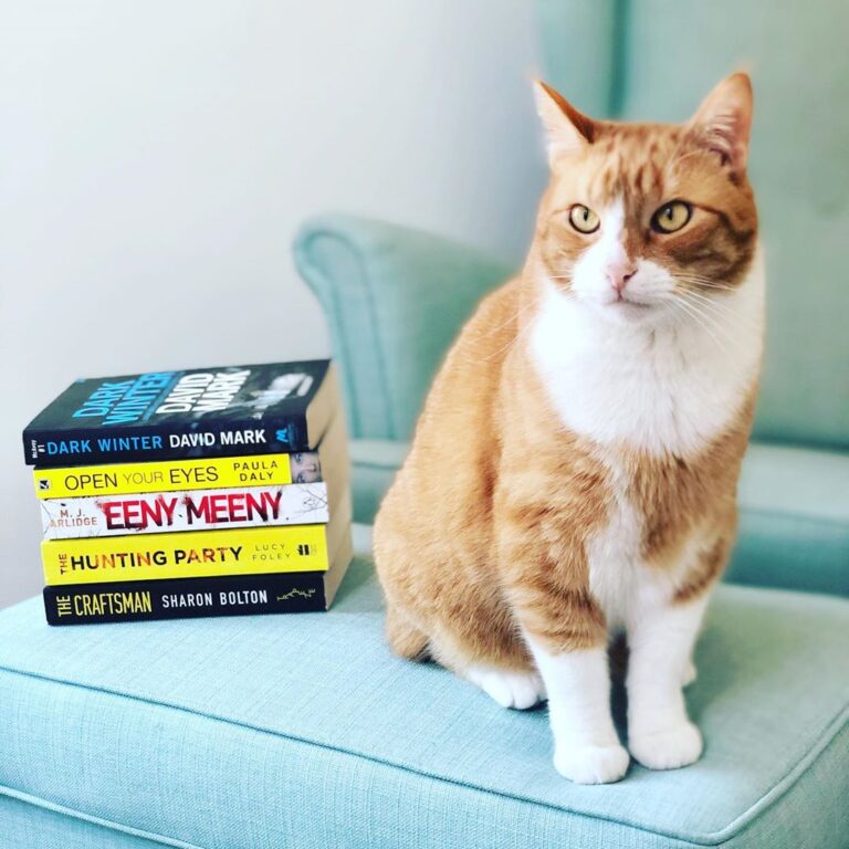 Watson is here to wish everyone a happy ⁣ ⁣ Here he is posing with