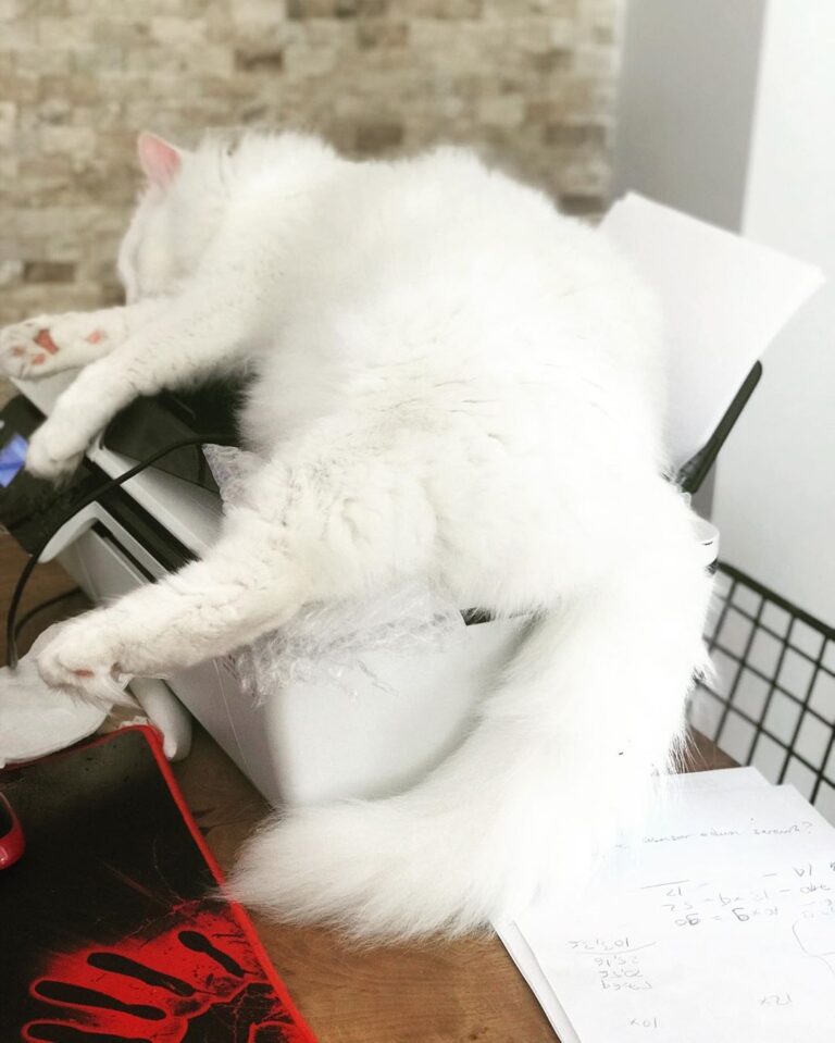 Work at Home