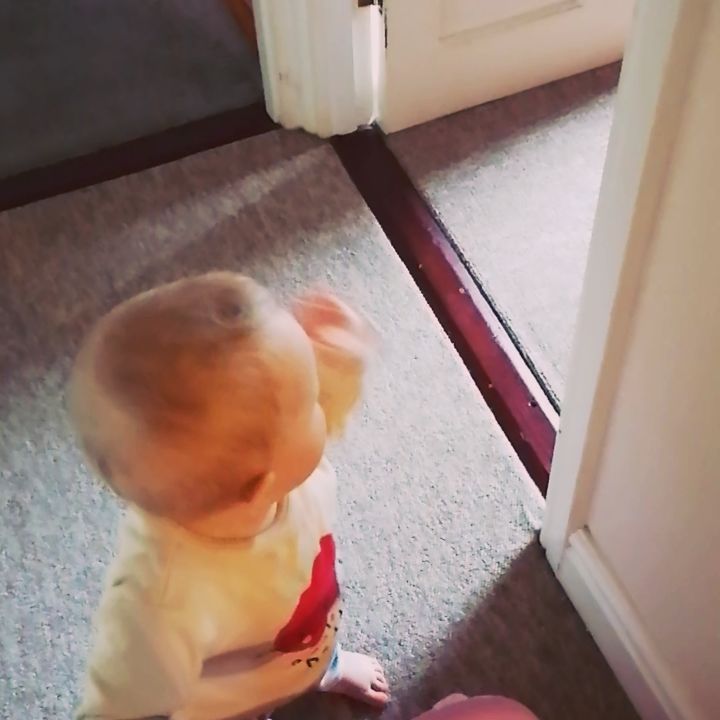 “hi lily! “…” urgh mini human can’t you see iam guarding the house!“