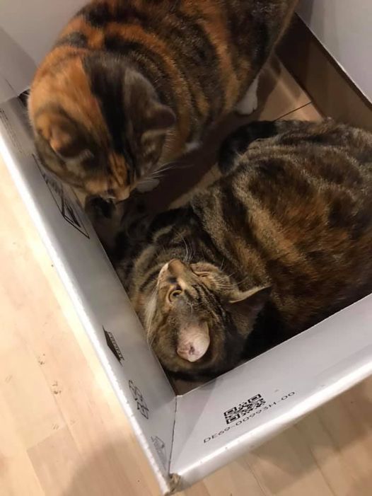 Mum wants the box back