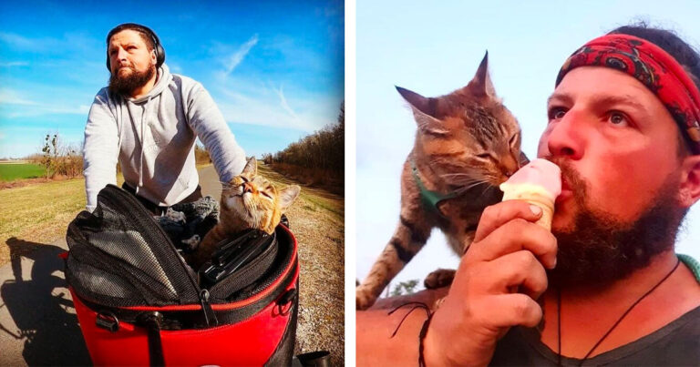 Man From Scotland Goes On A Bicycle Tour Around The World And Finds A Stray Cat Who Becomes His Trusted Travel Companion