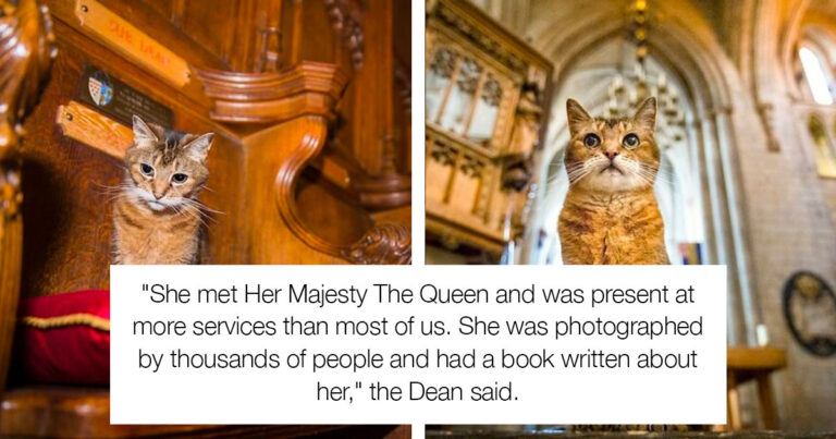 Cat Lived In A Church For 12 Years And When She Passed Away They Gave Her A Beautiful Memorial Service