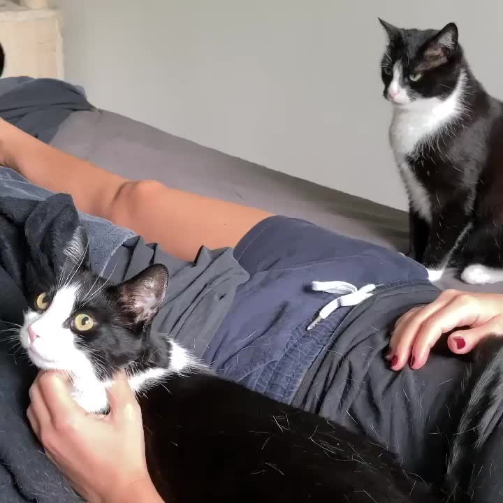 Someone was a little jealous!