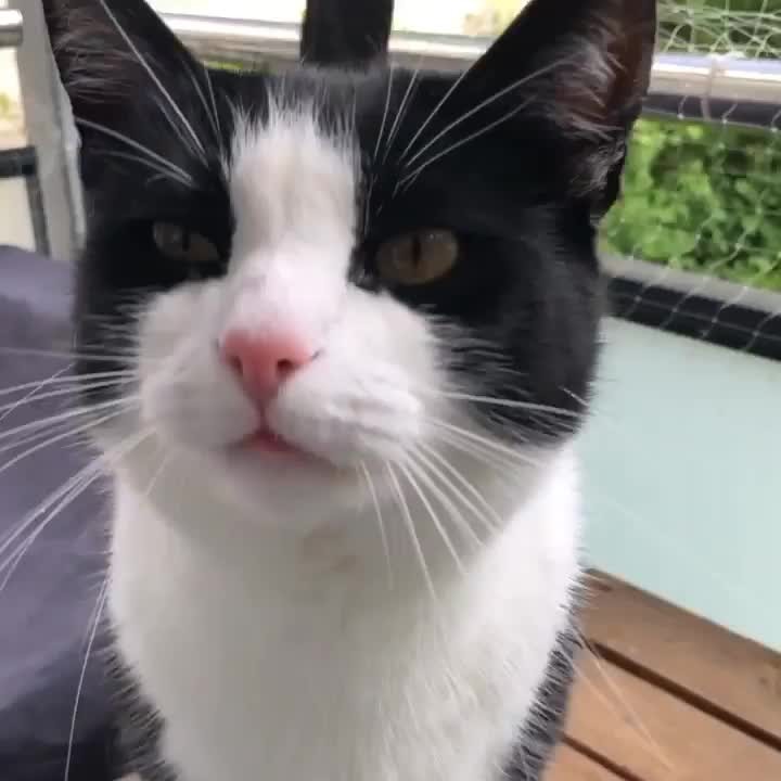 We get yelled at a lot in our house!