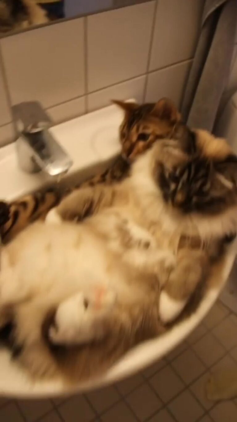 The sink is clogged