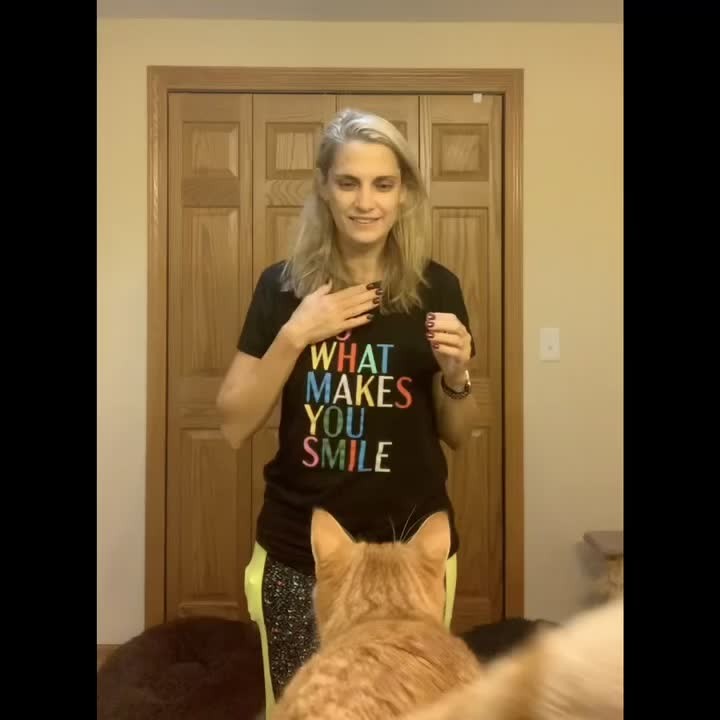 “Thor the Flying Cat enjoys jumping to his human from