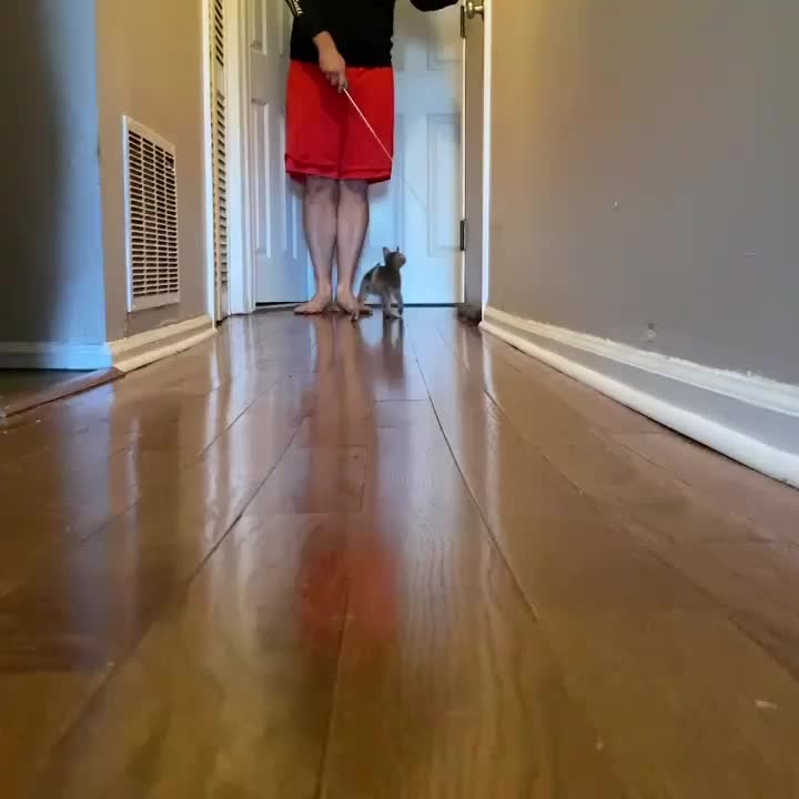 Working on my strut.