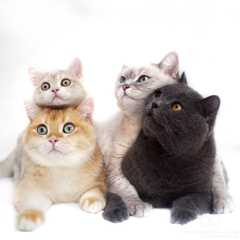 Finally all in one picture