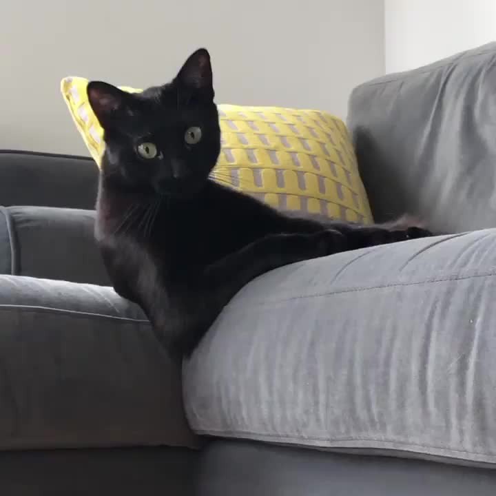 When you know how to work a camera. (And a Human)