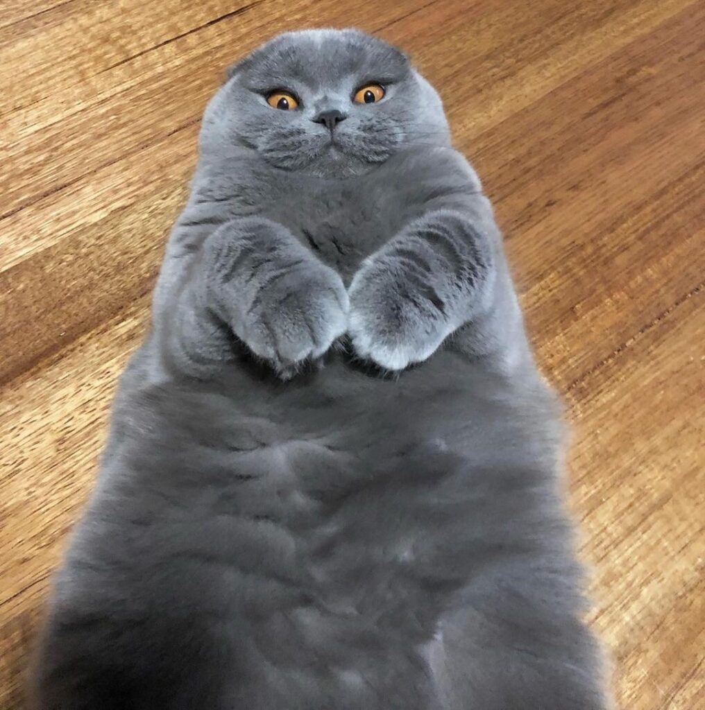 “I tried to do a sit up today… I managed to get my