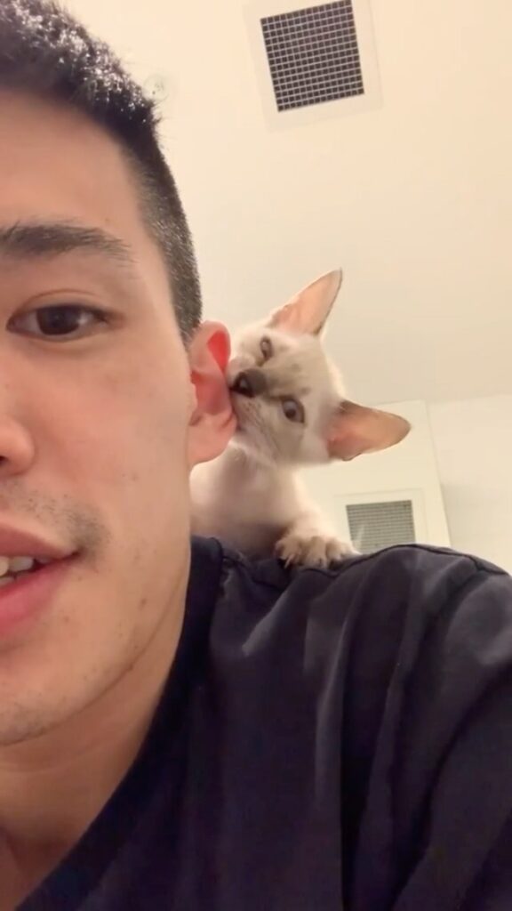 One nibble at a time