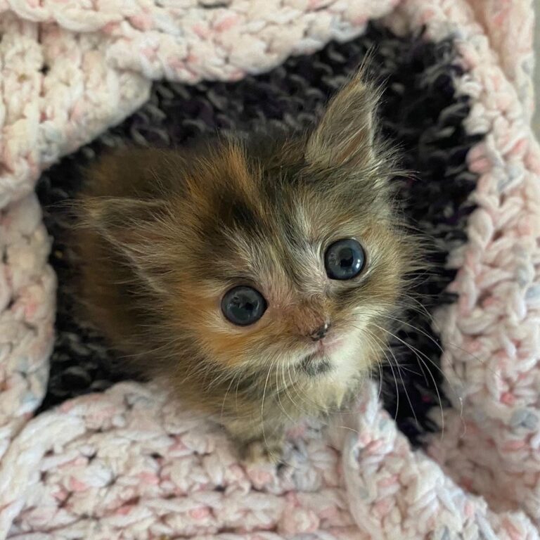 75% eyeball, 1000% cute (and like 15% spicy)
