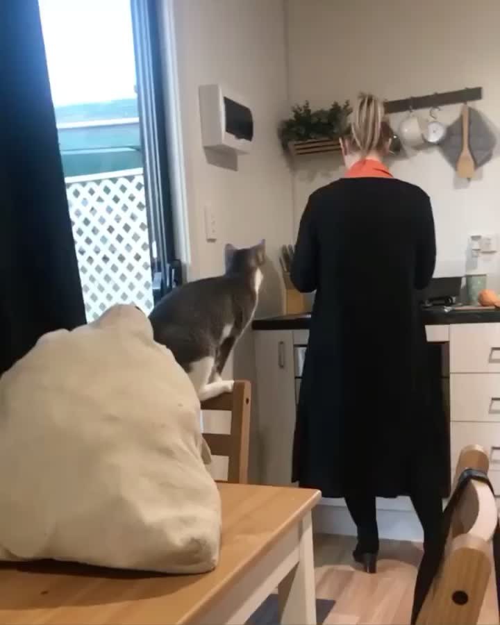 Mind if I join u