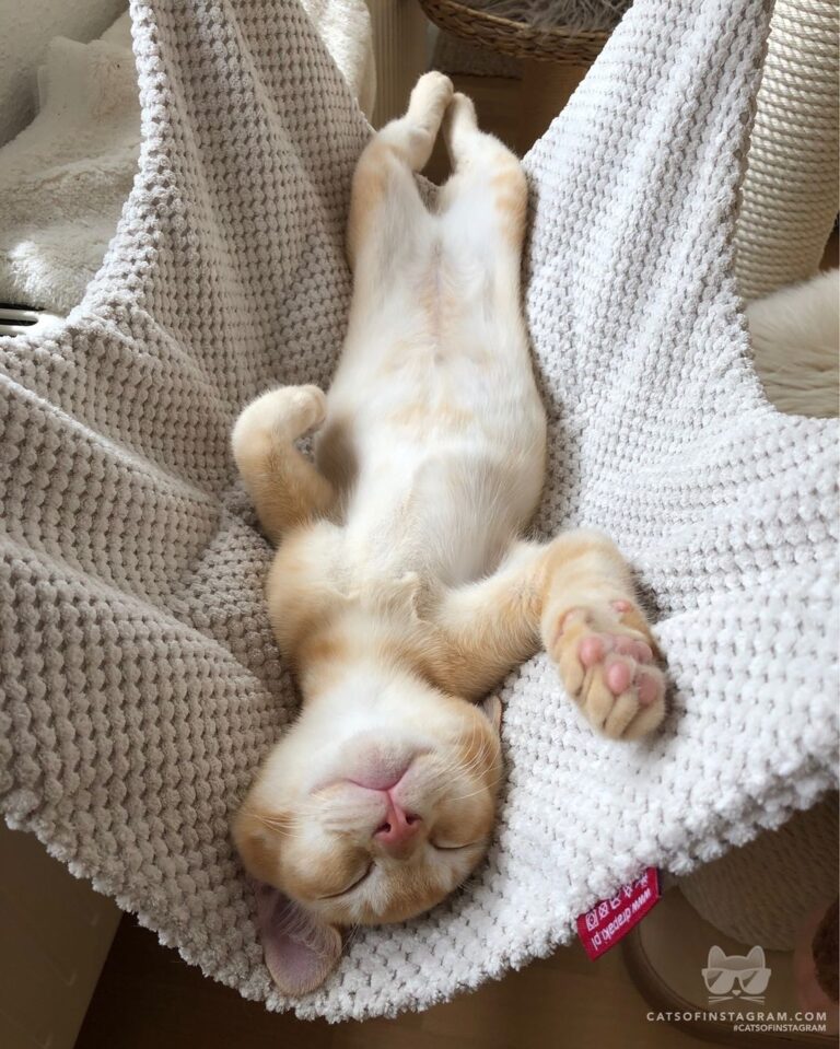 Just relaxing.