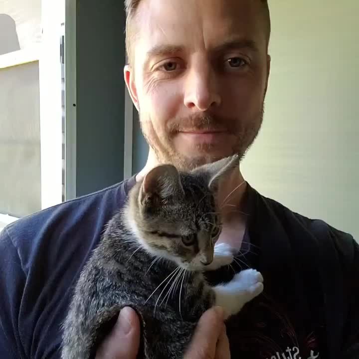 Rocky says good meowning