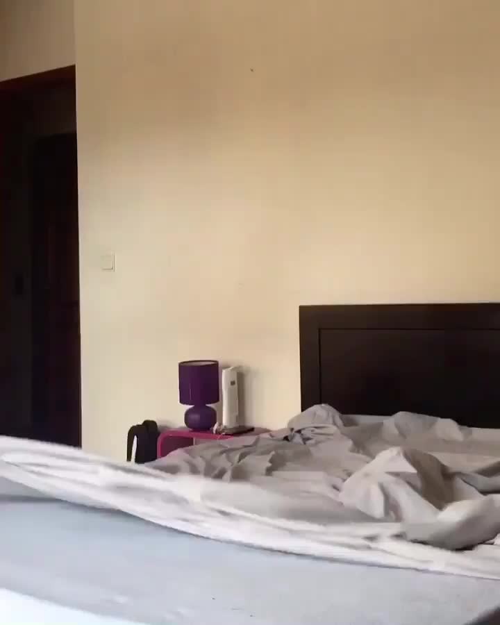 “The reality of making bed when you have a cat Can you rela