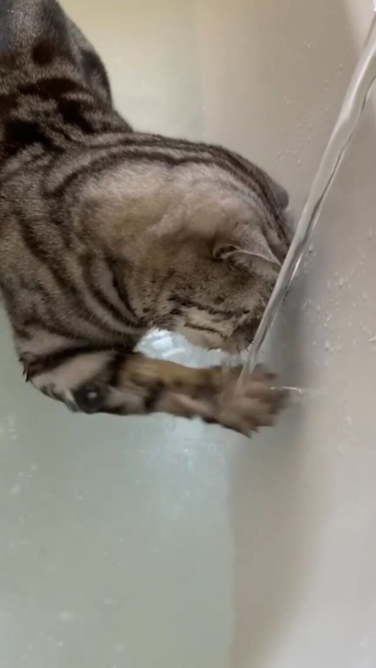 It’s a hot summer time to cool off!