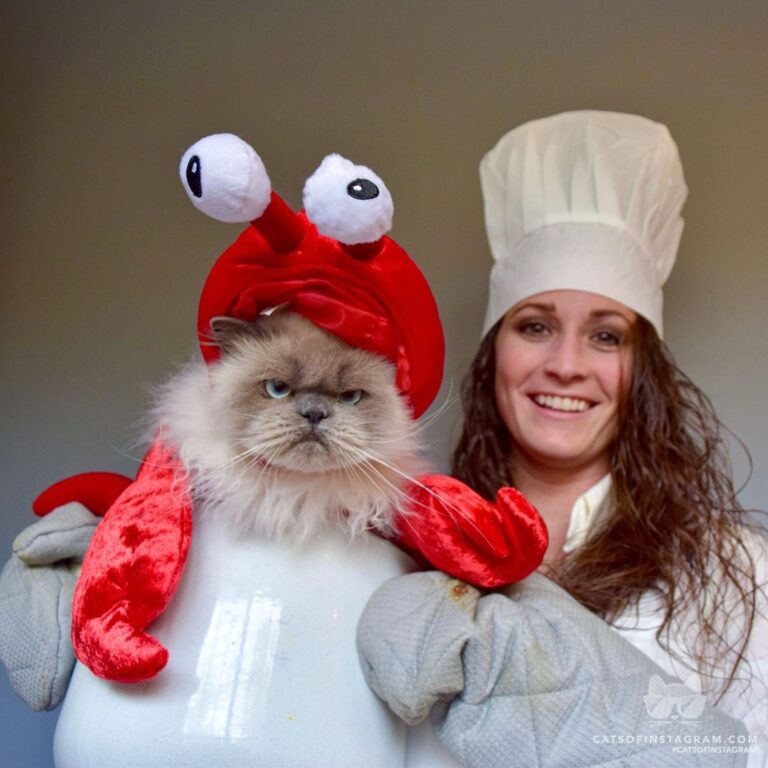 “Everyone loves a lobster dinner… except the lobster #