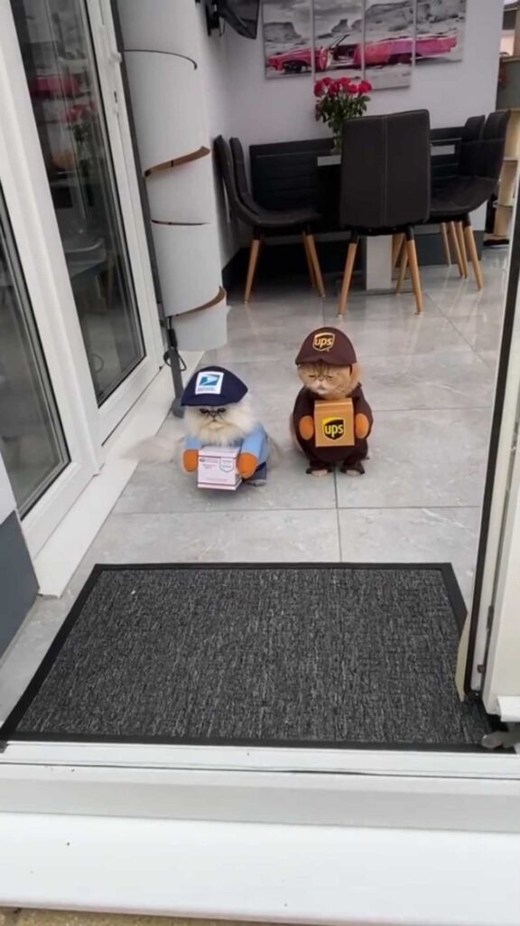 All dressed up for Halloween