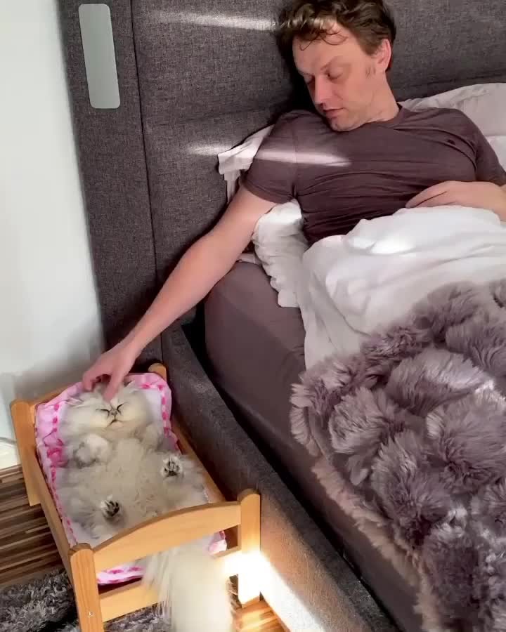How’s your Caturday going? Pretty lazy one over here!