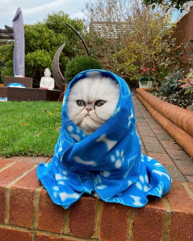 It’s getting cold out there