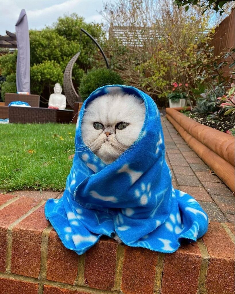 It’s getting cold out there