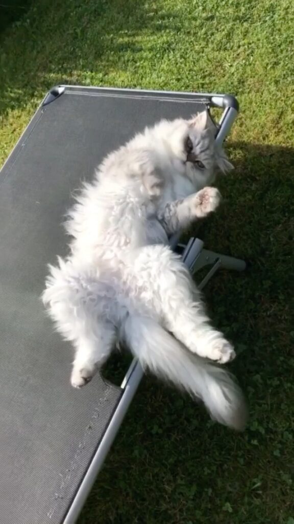 Enjoying the sun