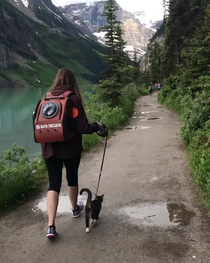 The puddle dodging master!!