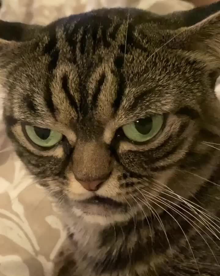 Kitzia wishes everyone the great start of the week