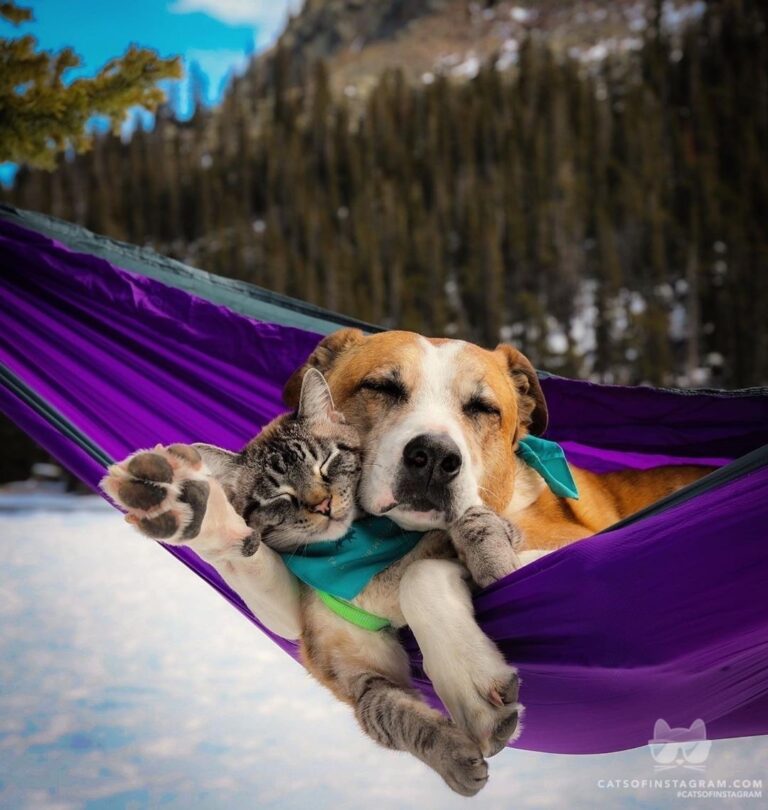 “Cuteness scale: 14/10 .. I mean they’re even holding