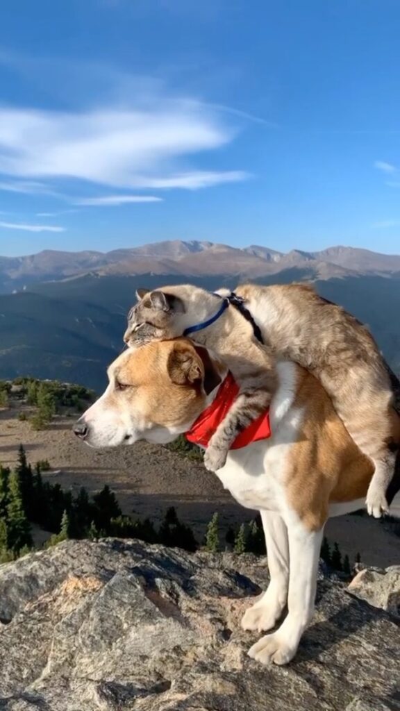 “Good friends are hard to find, so when you find one