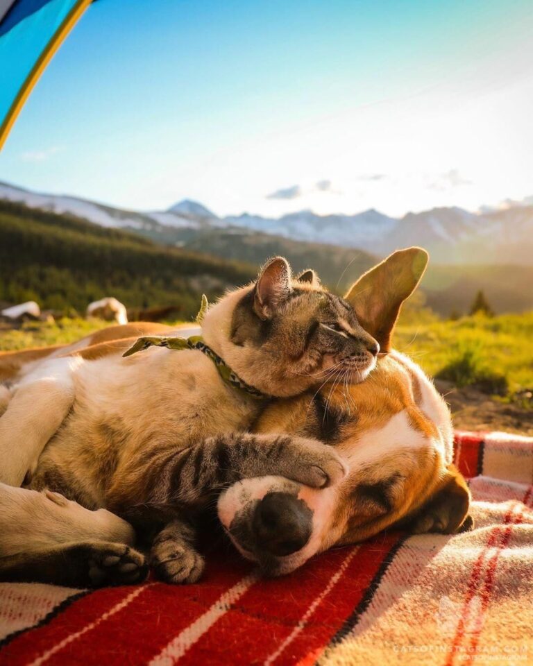Their bond really is something special.