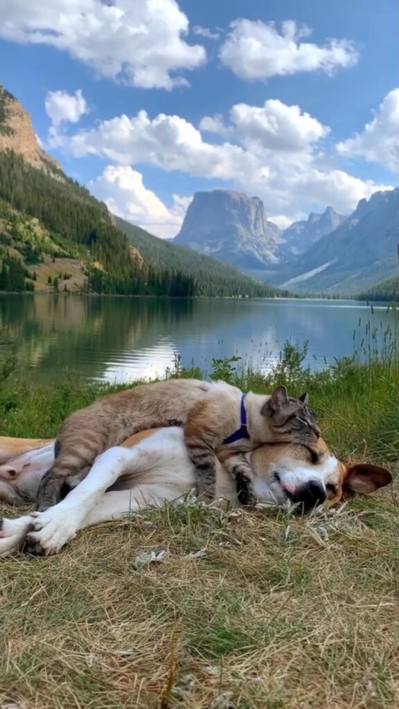 “Took a nap in the most beautiful place. We reallly d