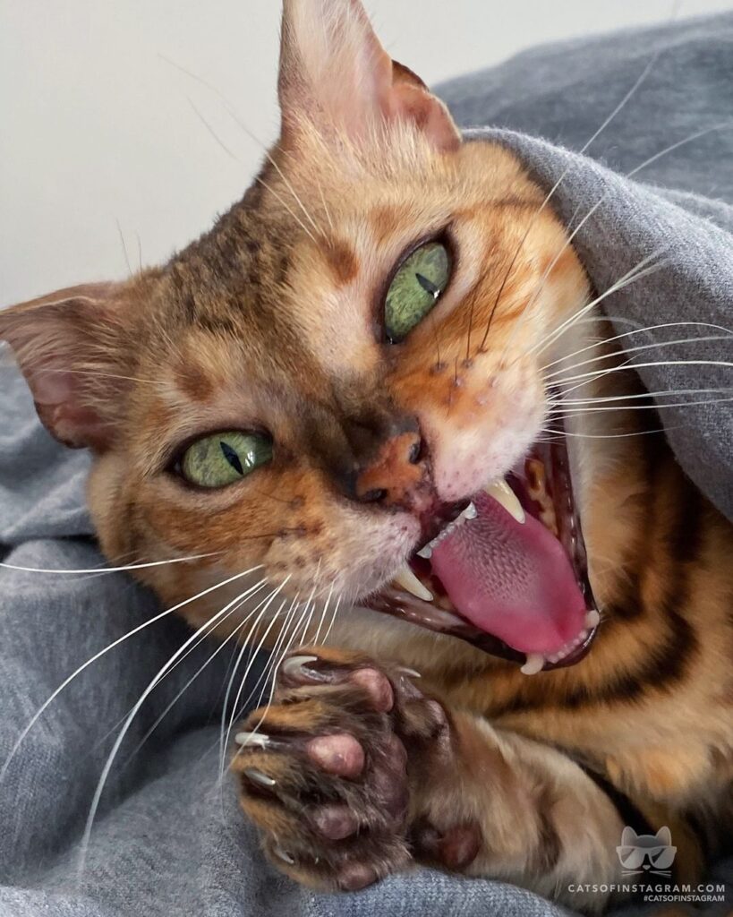 Up all night watching the election results