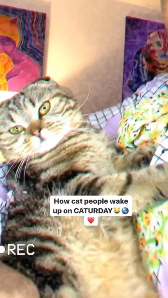 “Who’s excited for Caturday!?!?