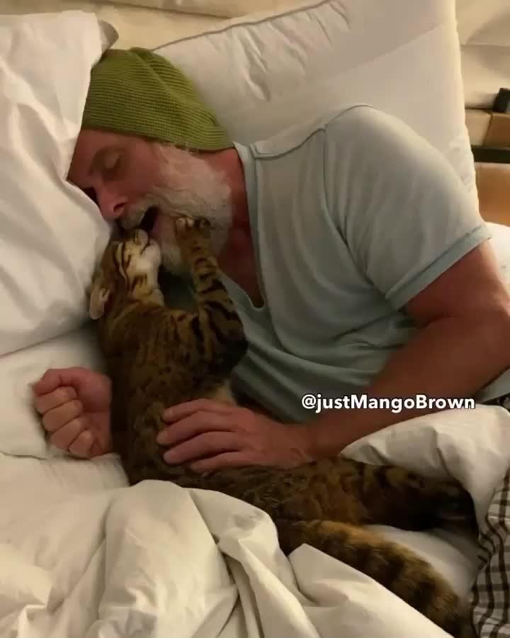 Mango Brown the kissiest cat around !