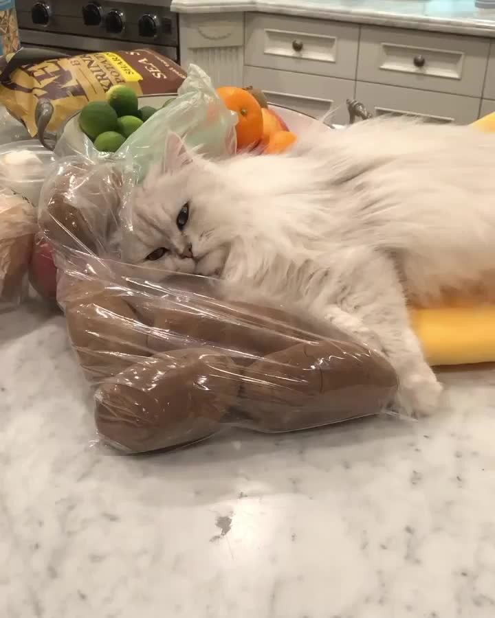 “She’s stockpiling bananas and potatoes. I’m hiding some k