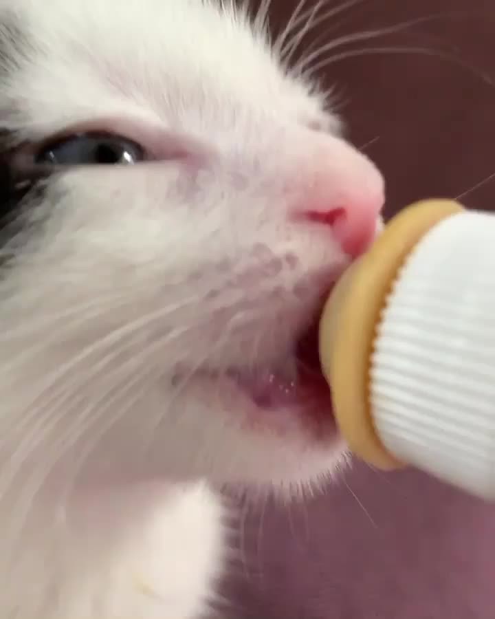 “Just a little bottle ASMR to get you through the end