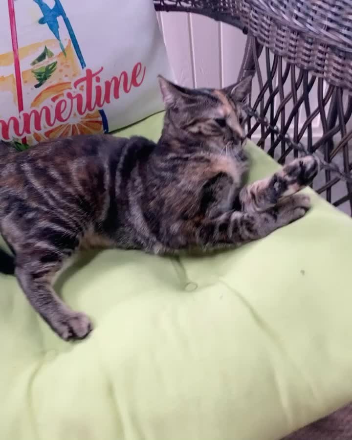 “When you’re so sleepy you even have to stretch your tongue