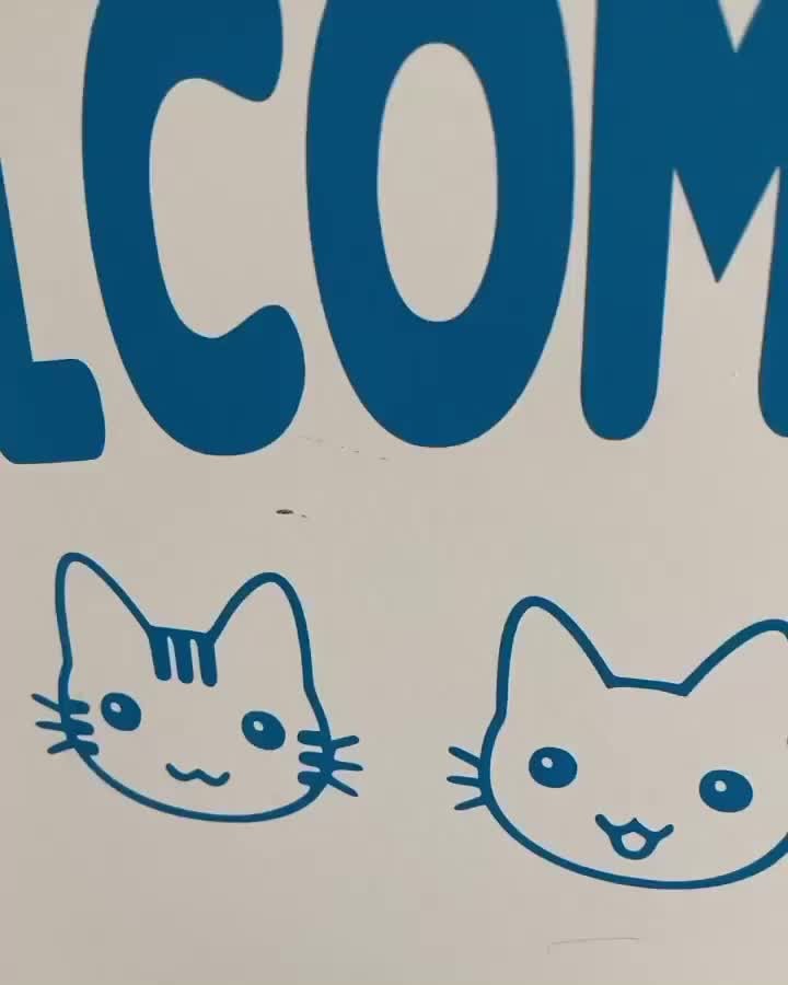 Good morning from Kittenland