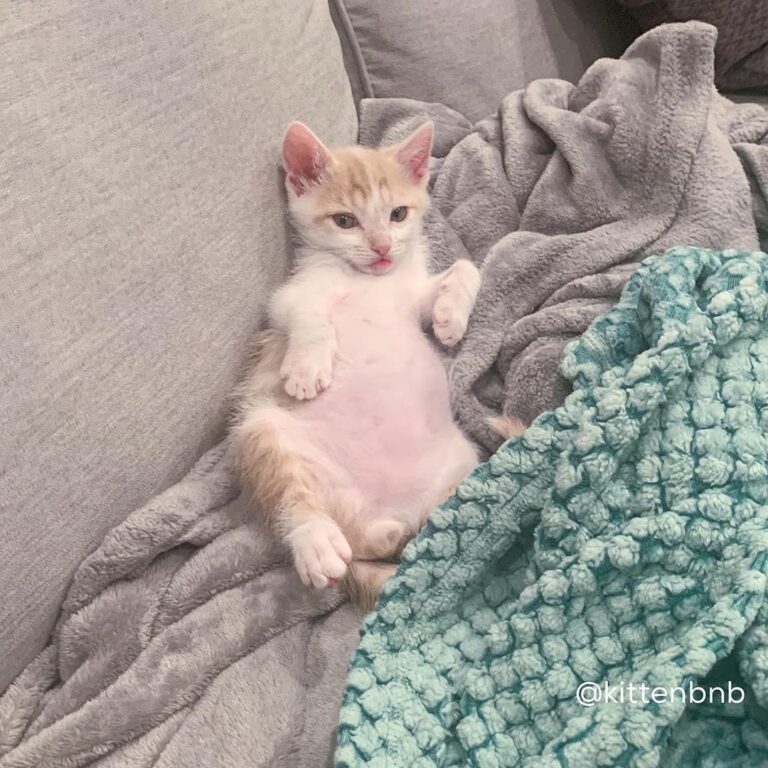 Bernard is living his best life.