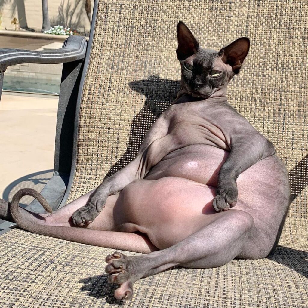 “Summer body wasn’t ready but winter body is good to