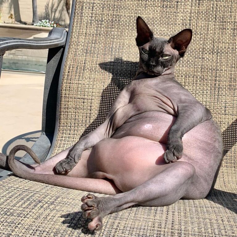“Summer body wasn’t ready but winter body is good to
